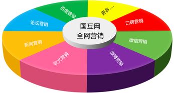 国互网全网整合营销用专注定义专业